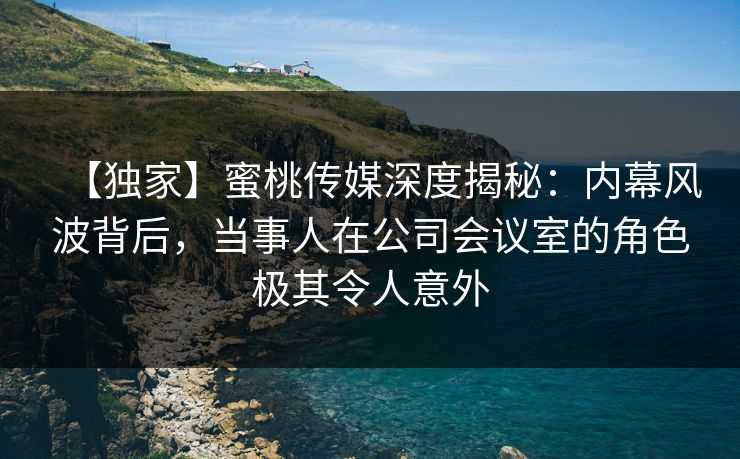 【独家】蜜桃传媒深度揭秘：内幕风波背后，当事人在公司会议室的角色极其令人意外