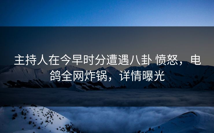 主持人在今早时分遭遇八卦 愤怒，电鸽全网炸锅，详情曝光