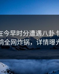 主持人在今早时分遭遇八卦 愤怒，电鸽全网炸锅，详情曝光