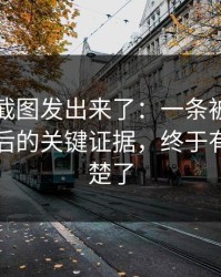有人把截图发出来了：一条被置顶的回复背后的关键证据，终于有人讲清楚了