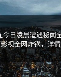 圈内人在今日凌晨遭遇秘闻全网炸裂，香蕉影视全网炸锅，详情了解