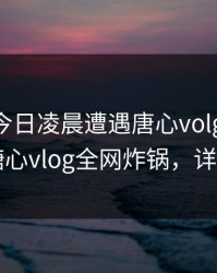 明星在今日凌晨遭遇唐心volg 真相大白，糖心vlog全网炸锅，详情曝光