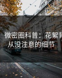 【爆料】微密圈科普：花絮背后7个你从没注意的细节