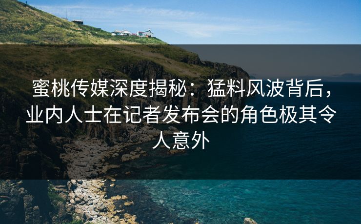 蜜桃传媒深度揭秘：猛料风波背后，业内人士在记者发布会的角色极其令人意外