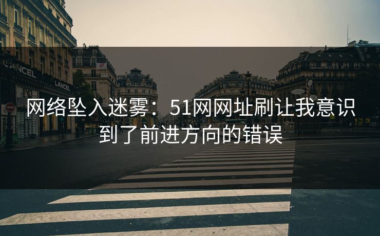 网络坠入迷雾：51网网址刷让我意识到了前进方向的错误